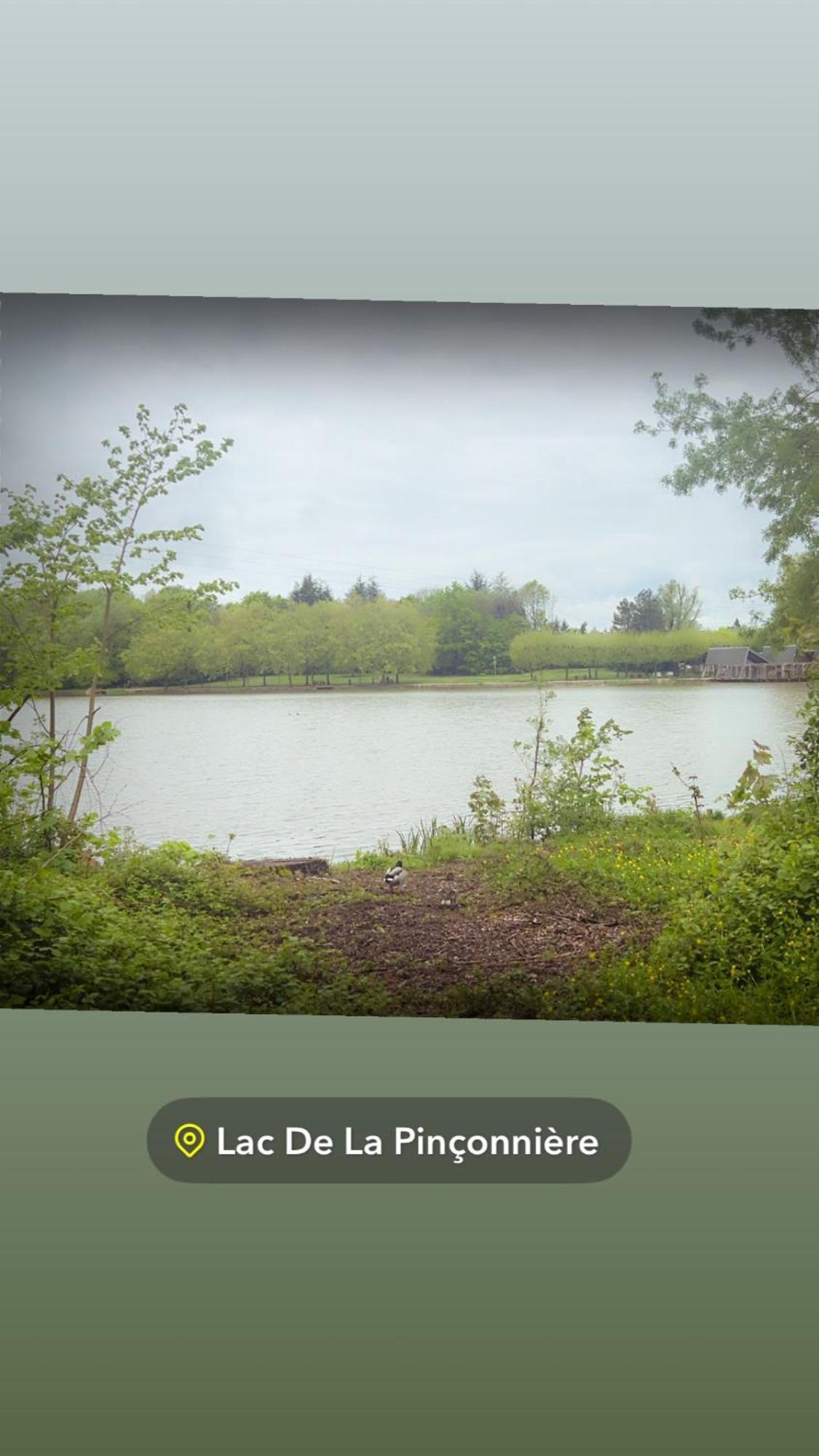 Quiniere - Entre Lac Et Foret - Hebergement Independant Avec Espace Kitchenette Blois Exteriör bild